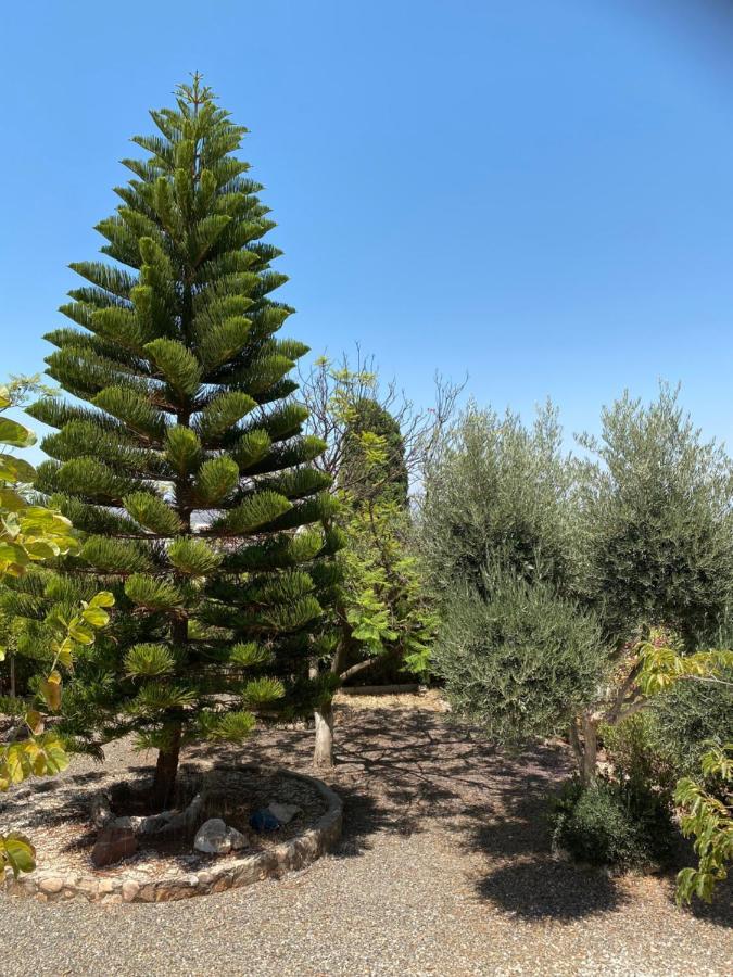 B&B Casa Oceo - Malaga - Andalusie Alhaurín de la Torre Eksteriør bilde