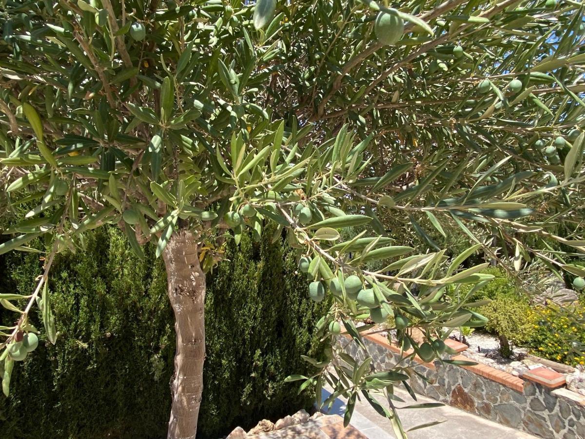B&B Casa Oceo - Malaga - Andalusie Alhaurín de la Torre Eksteriør bilde